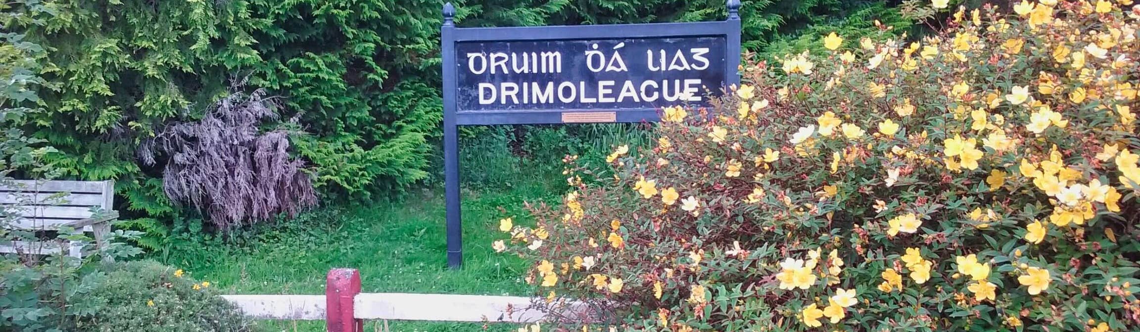 Image of a sign in Drimoleague in County Cork