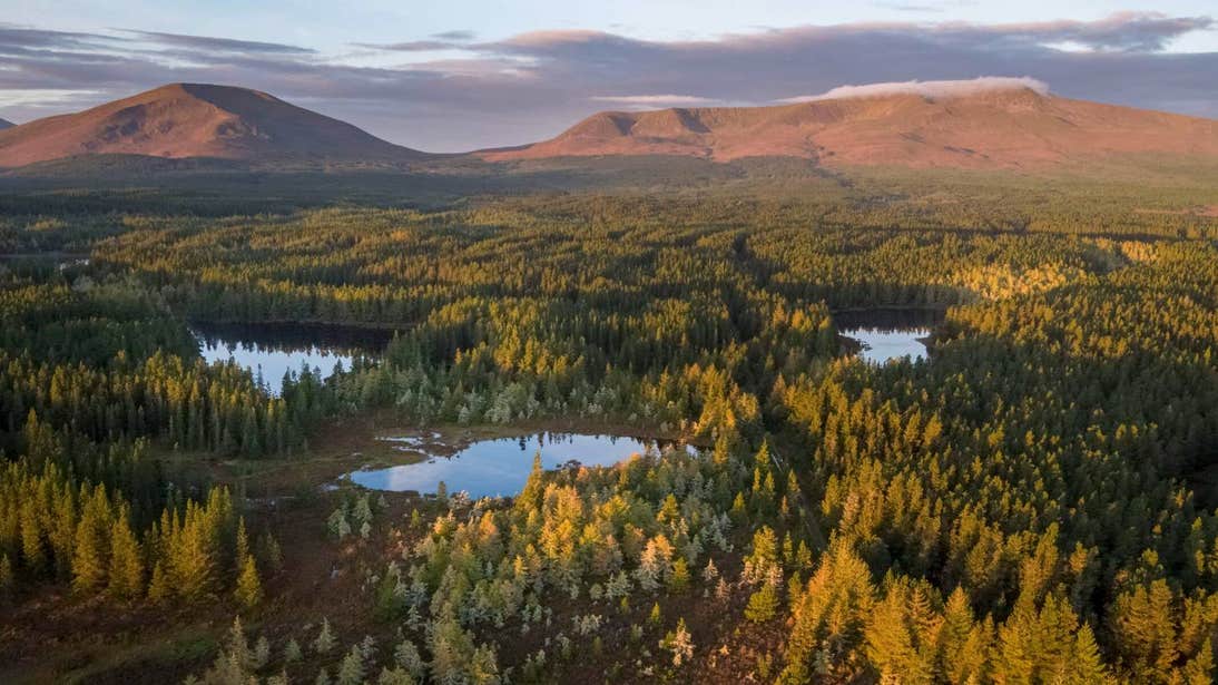 Sunset on mountains, forest and lakes at Wild Nephin Ballycroy National Park, Mayo