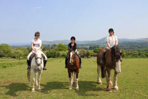 Killegar Stables, Wicklow