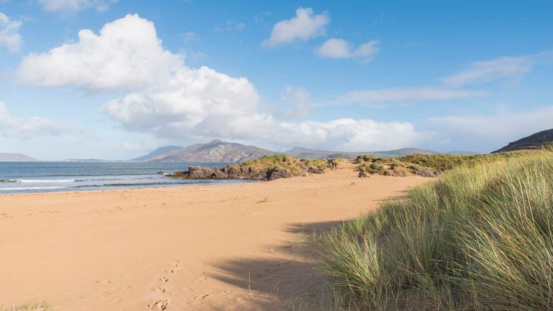 Golden sandy beach and grassy dunes in Ballymastocker, Donegal