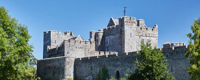 View of Cahir Castle with trees in front