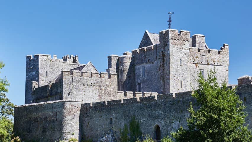 View of Cahir Castle with trees in front
