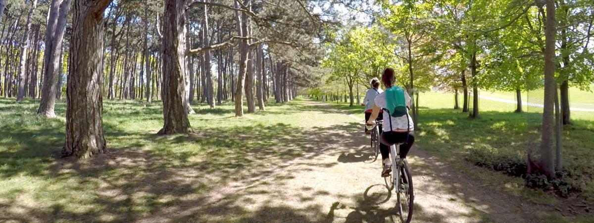 Two girls cycling on pathway in the Phoenix Park with trees either side