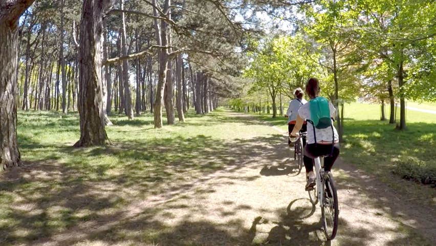 Two girls cycling on pathway in the Phoenix Park with trees either side