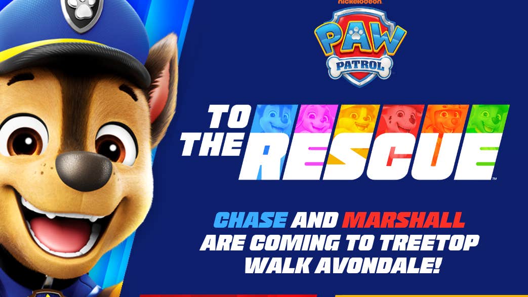 Chase & Marshall Paw Patrol Avondale Treetop Walk