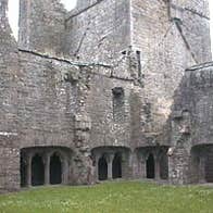 Bective Abbey                                               