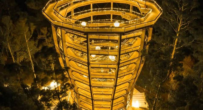 The award winning Treetop Night Lights is a captiating nocturnal adventure that unfolds among the majestic trees of Avondale Forest Park.