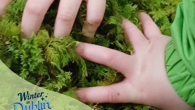 Awaken your sense of wonder as you explore nature with your child. With winter-themed nature activities in the fresh winter air, Families in the Forest is the perfect way for families to take a break during the busy Christmas season.