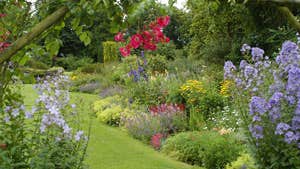 Coolcarrigan House and Gardens