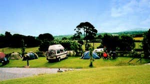TREE GROVE CARAVAN AND CAMPING PARK
