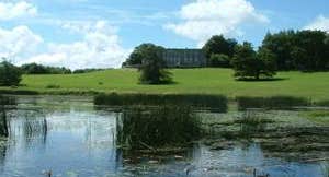 Curragh Chase Forest Park