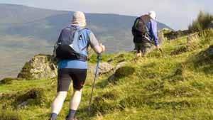 The South Leinster Way