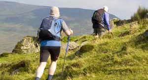 The South Leinster Way