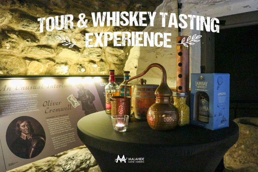 Enjoy a fun and engaging tour of Malahide Castle followed by a very unique whiskey tasting experience!