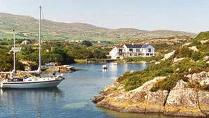 The Heron's Cove