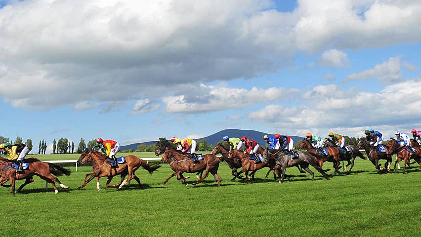 Clonmel Racecourse showing race in progress on a sunny day