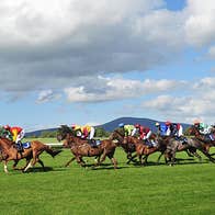 Clonmel Racecourse showing race in progress on a sunny day