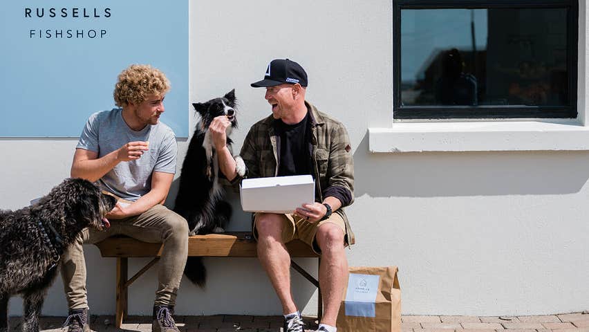 Two men and their dogs enjoying a bite to eat outside a fish shop