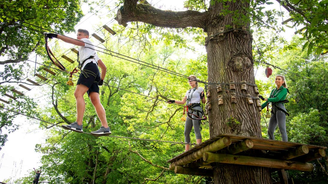 Zipit Forest Adventures at Lough Key Forest & Activity Park, Boyle, Co Roscommon