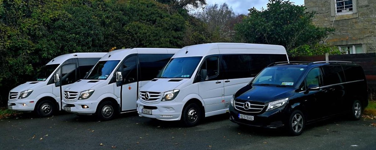 A selection of coaches and mini coach