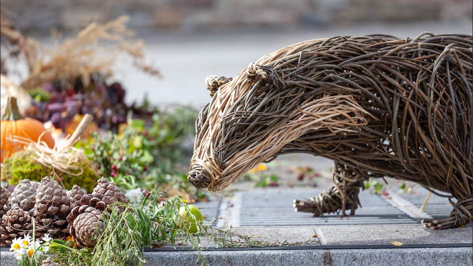 A giant woven willow badger surrounded by flowers and greenery at Clonmel Applefest, reflecting the festival’s playful connection with art, nature and the outdoors.