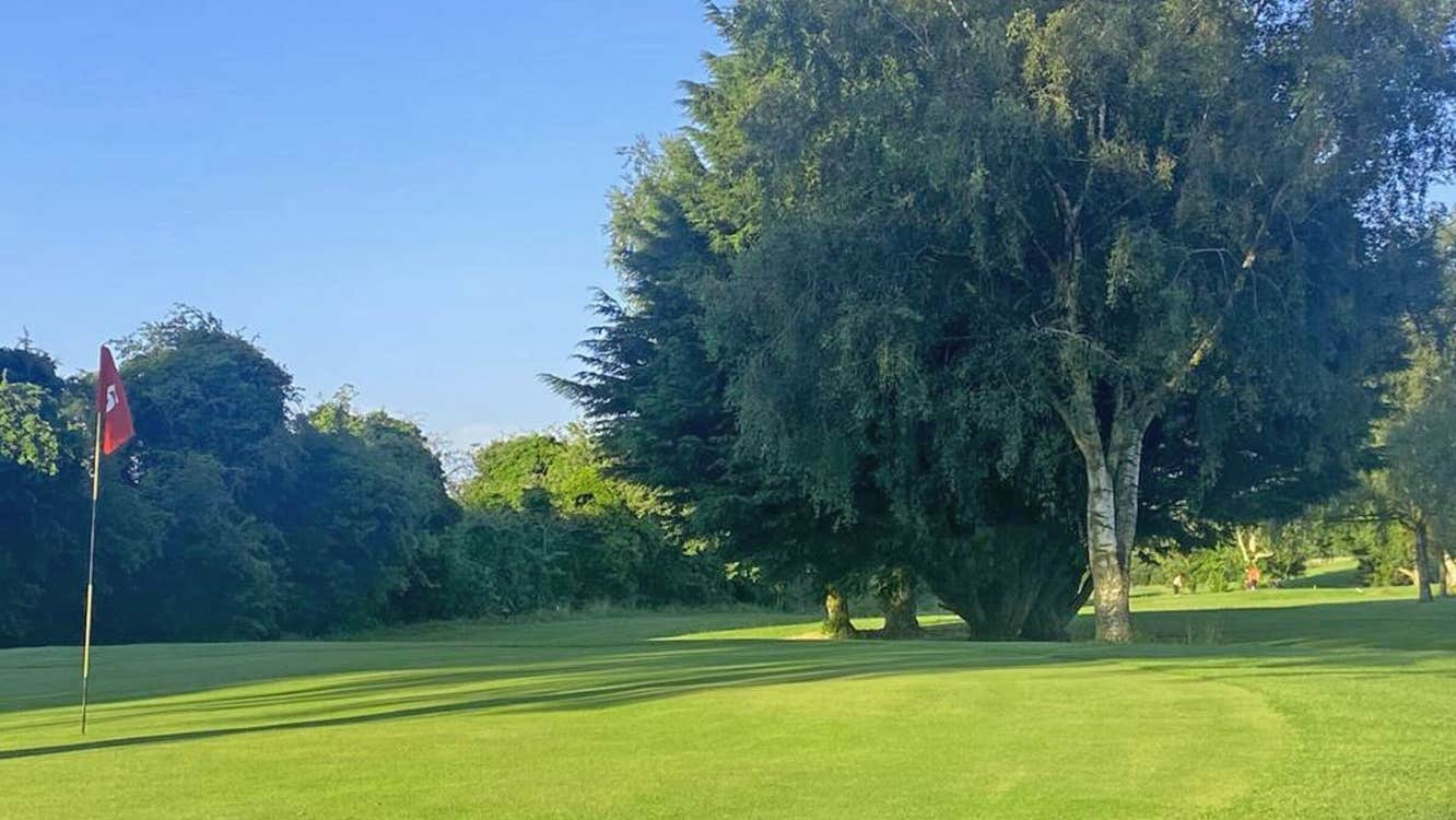 South Meath Golf Course green with flag and large tree