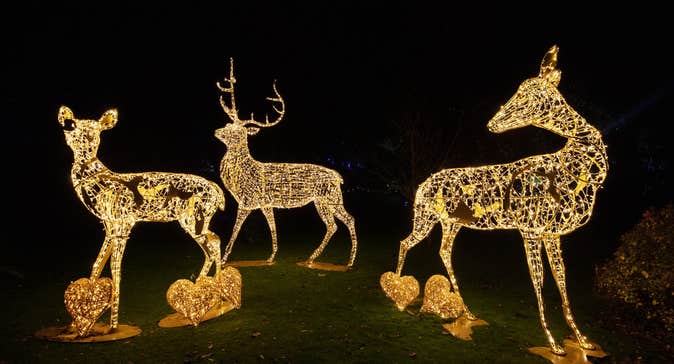 Wonderlights at Fota House, Cork