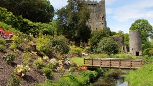 irish day tours blarney