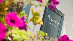The Dew Drop Gastropub