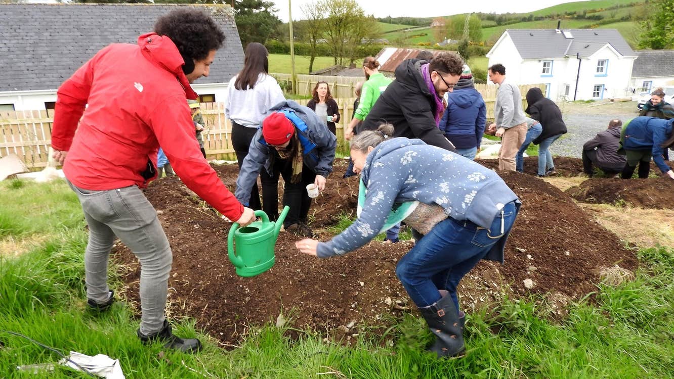 Ecosystem restoration work at Síolta Chroí