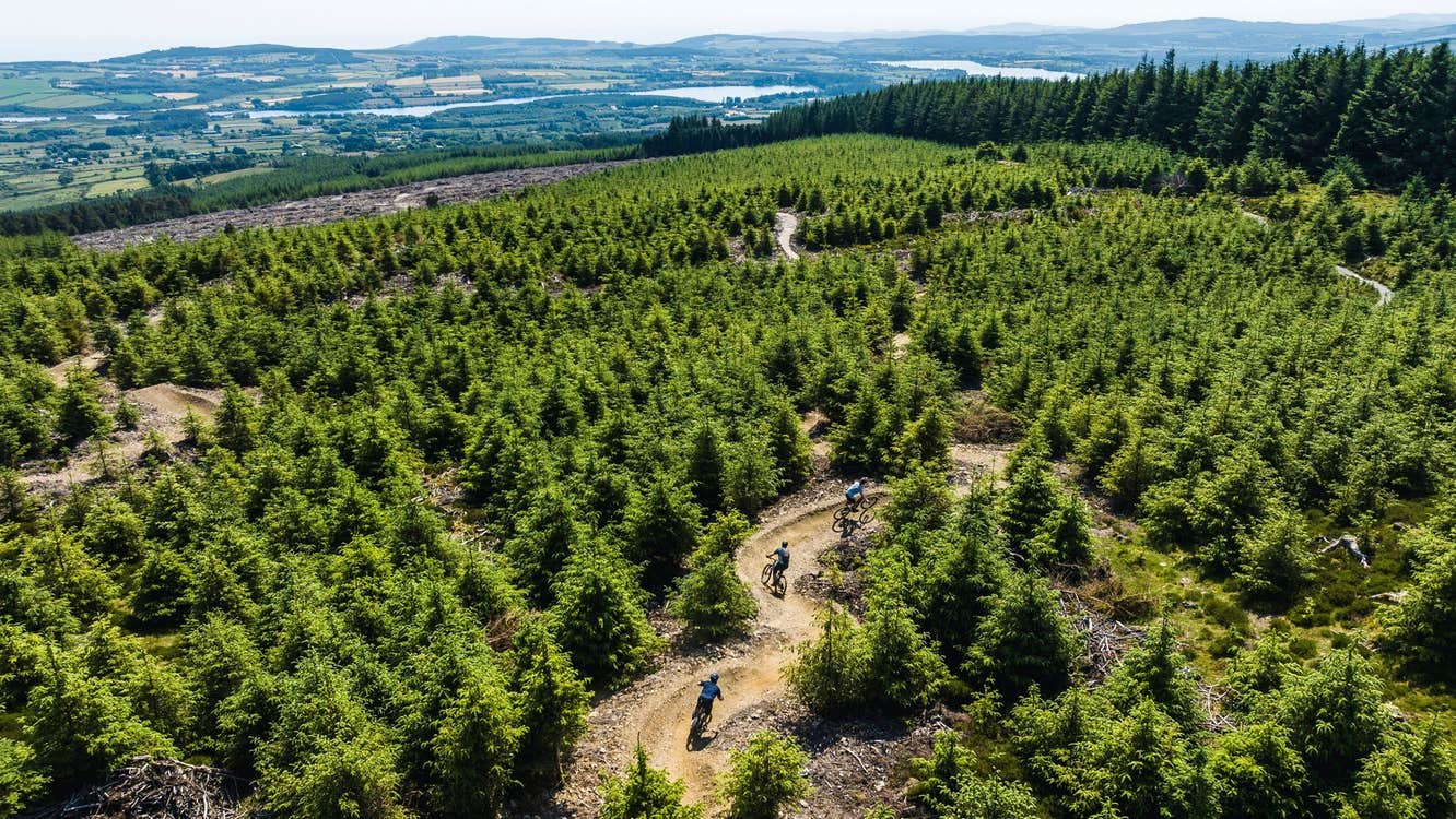 An aerial view of mountain bikers on a trail surrounded by trees