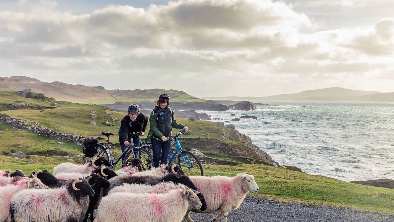 Two people with bikes standing near cliffs surrounded by sheep