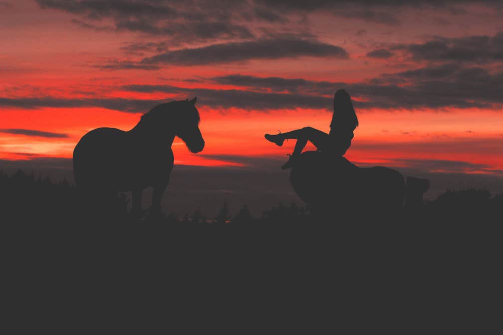 Image of a horse and a girl at sunset in Tullamore in County Offaly