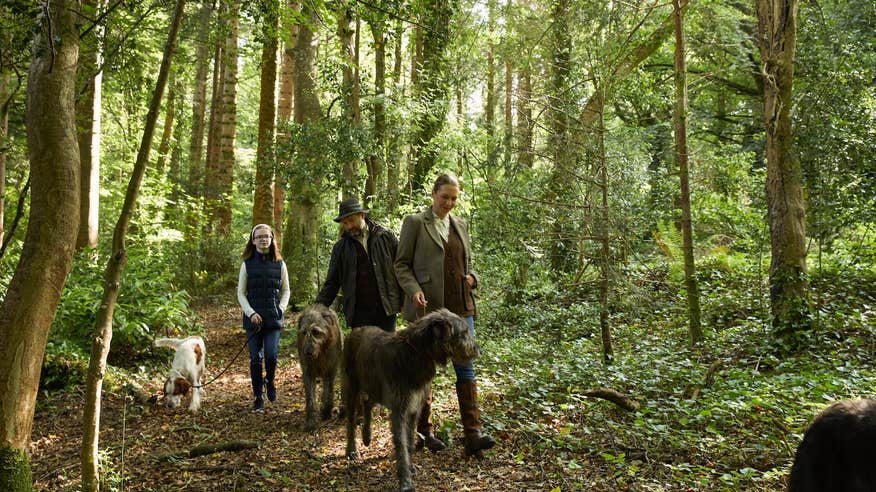The wolfhound walk at Ashford Castle, Co Mayo