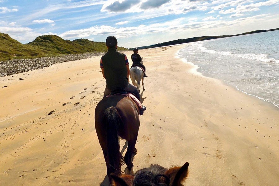 Island View Riding Stables