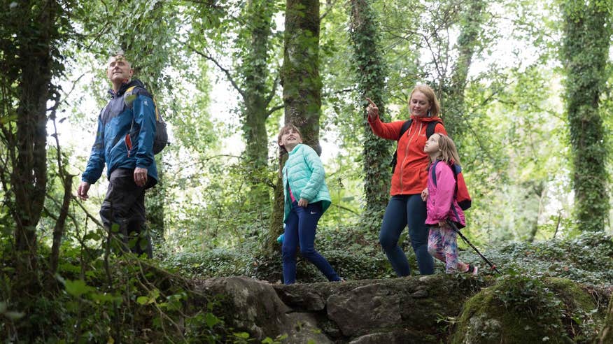 Family walking through Cratloe Woods in Clare