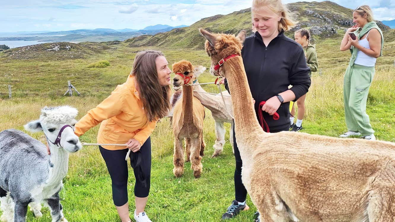 Gáinne Mór Alpacas view of girls interacting with alpacas on a scenic walk