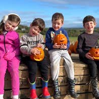 Outdoors on a sunny day, 4 children are seated on a large wooden crate holding carved pumpkins.