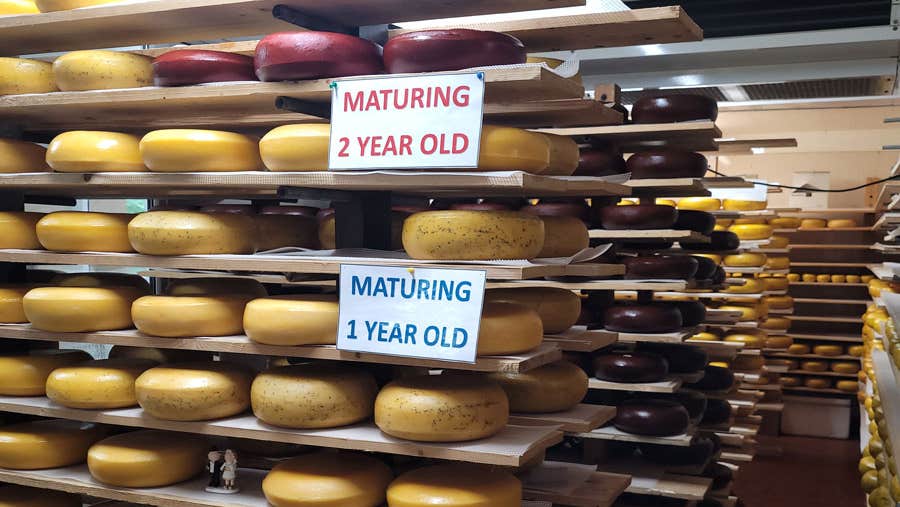 Cheese maturing during the cheesemaking process