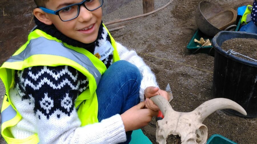 The Big Dig: A Viking Adventure for Kids