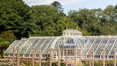 A view of the glasshouses and rose garden at Ardgillan Castle and Gardens