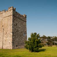 Ballyhealy Castle