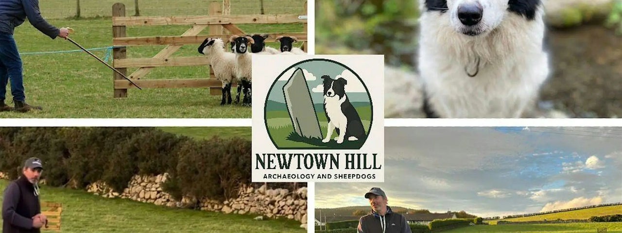 Newtown Hill Sheepdog Demonstration