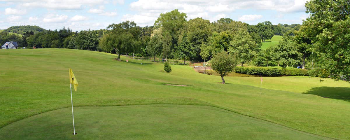 A view of one of the greens with a yellow golf flag pin