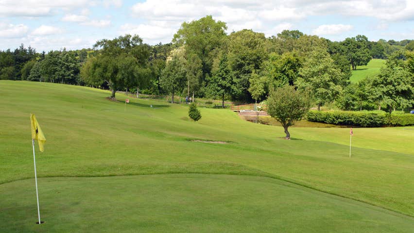 A view of one of the greens with a yellow golf flag pin