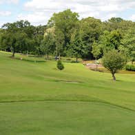 A view of one of the greens with a yellow golf flag pin 