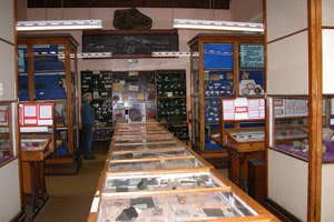 James Mitchell Museum, Galway City, Galway
