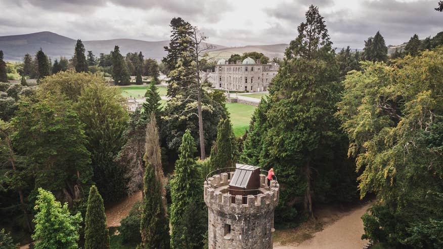 Wander the wildflower meadows at Powerscourt House and Gardens.