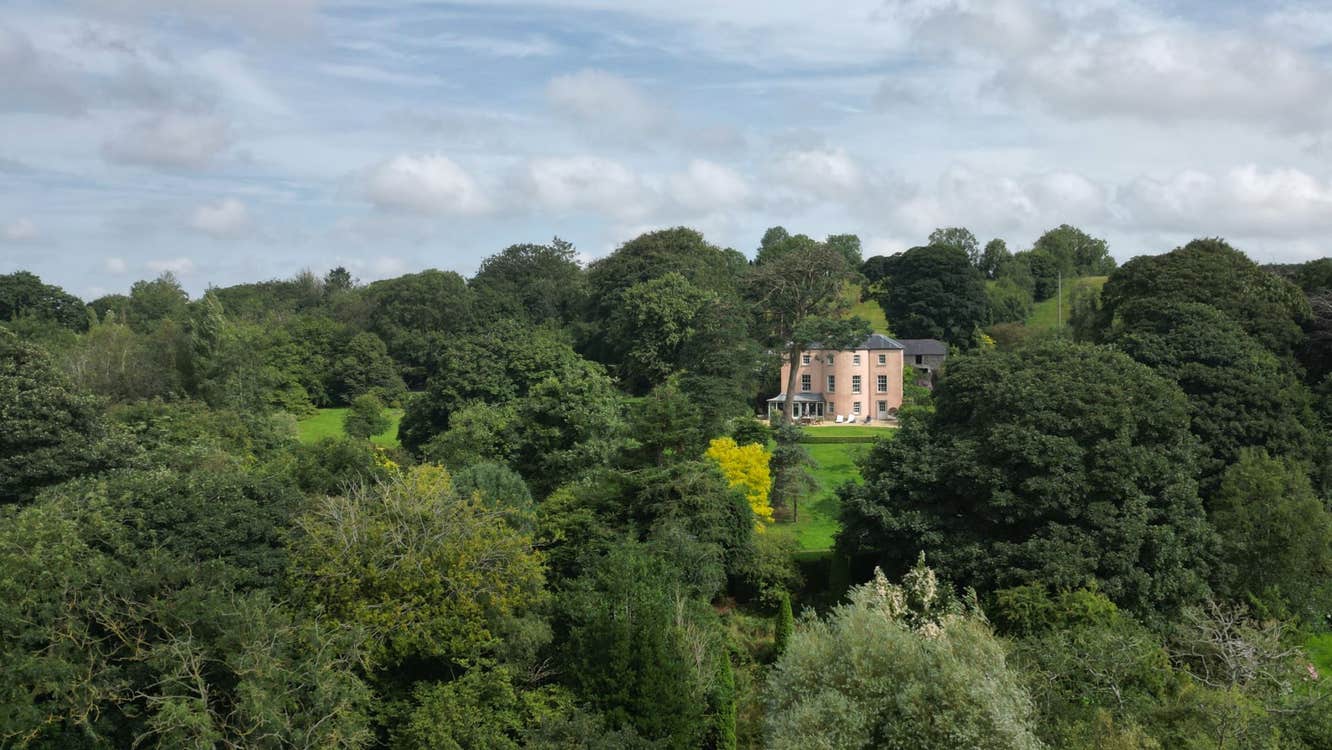View of woods and property