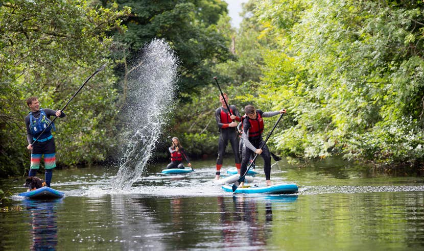 Four people paddle-boarding in Killaloe, County Clare